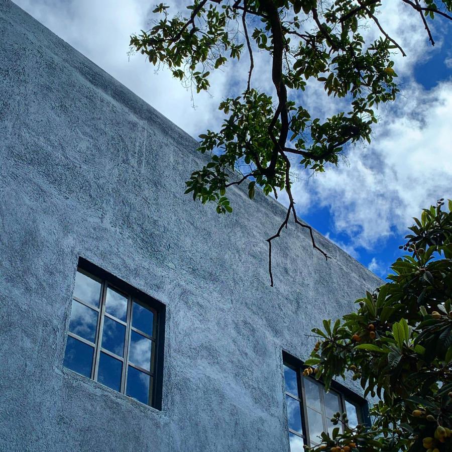 La Betulia Bed&Breakfast Oaxaca Bagian luar foto